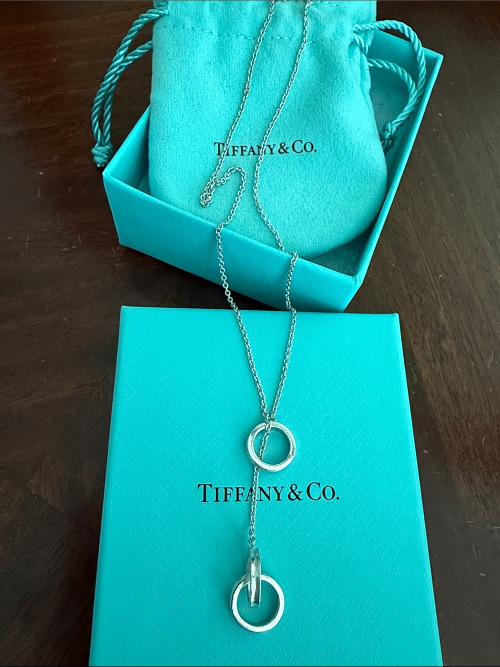 1837 Tiffany & Co. Interlocking Rings Lariat Necklace